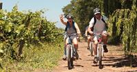 Chile, Soft Adventure Holiday - cycling in Maipo Valley - World Expeditions